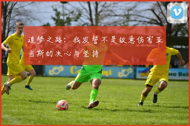 追梦之路:我发誓不是故意伤害亚当斯的决心与坚持