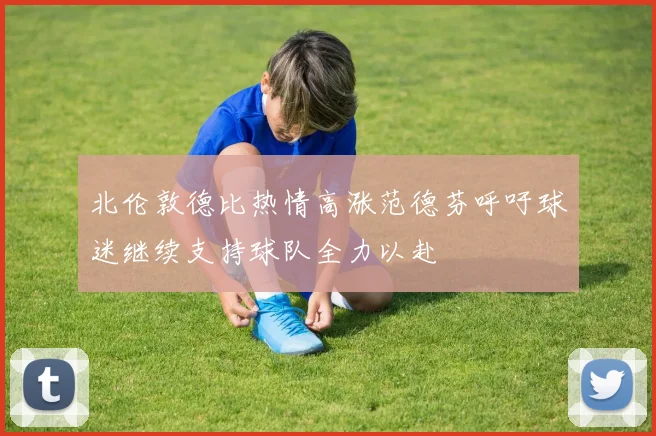 北伦敦德比热情高涨范德芬呼吁球迷继续支持球队全力以赴
