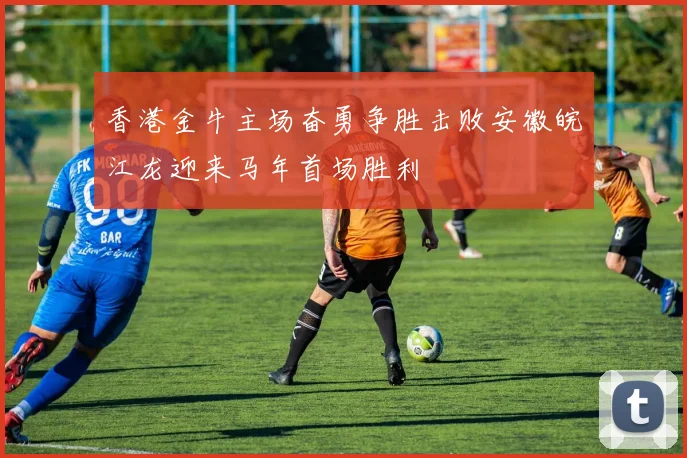 香港金牛主场奋勇争胜击败安徽皖江龙迎来马年首场胜利